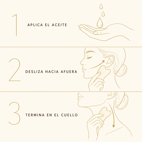 Modo de uso: aplica el aceite, desliza hacia afuera, termina en el cuello