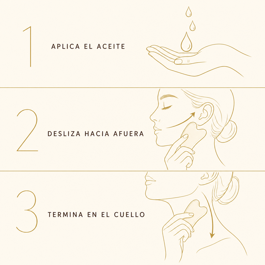 Modo de uso: aplica el aceite, desliza hacia afuera, termina en el cuello